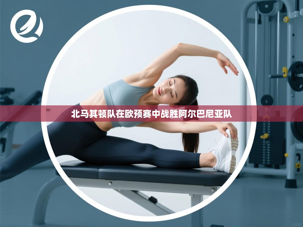 北马其顿队在欧预赛中战胜阿尔巴尼亚队  第2张