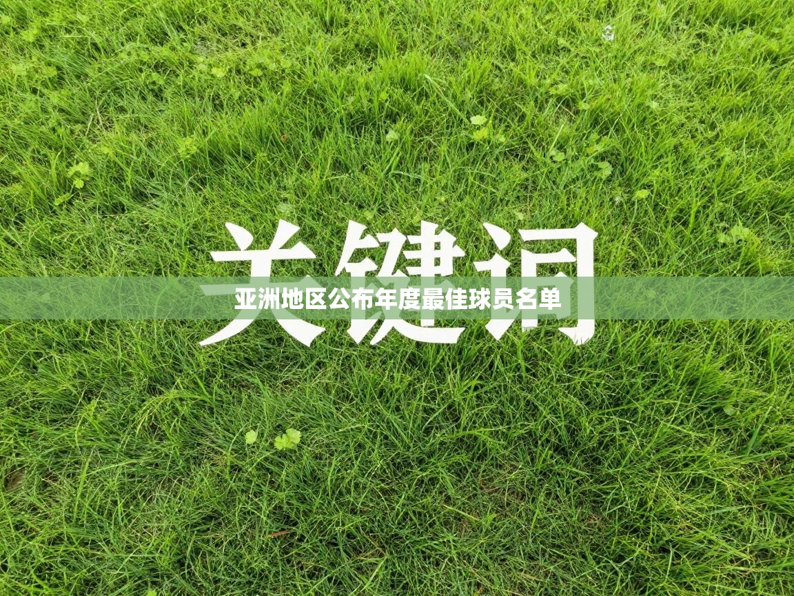 亚洲地区公布年度最佳球员名单  第1张