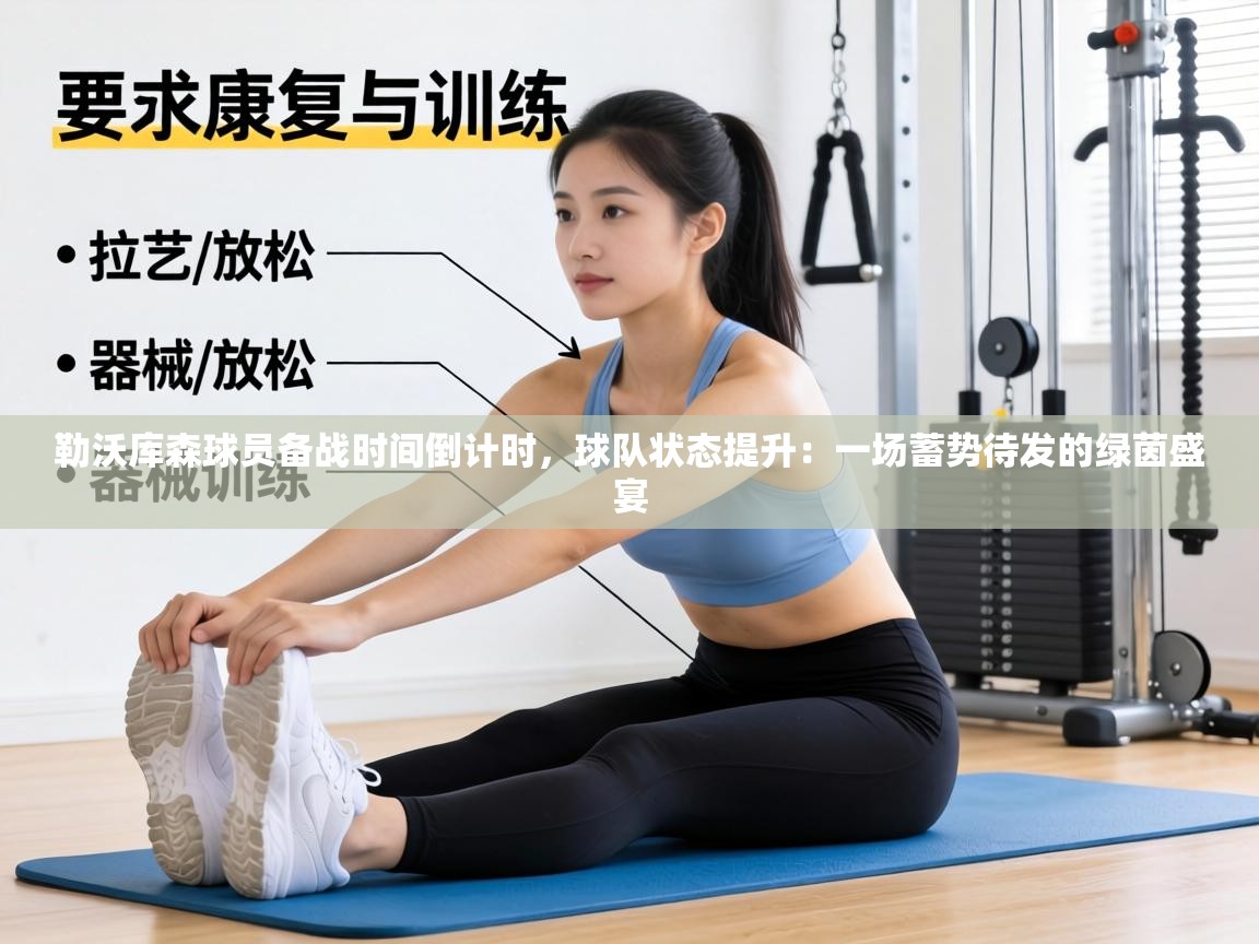 勒沃库森球员备战时间倒计时，球队状态提升：一场蓄势待发的绿茵盛宴  第1张