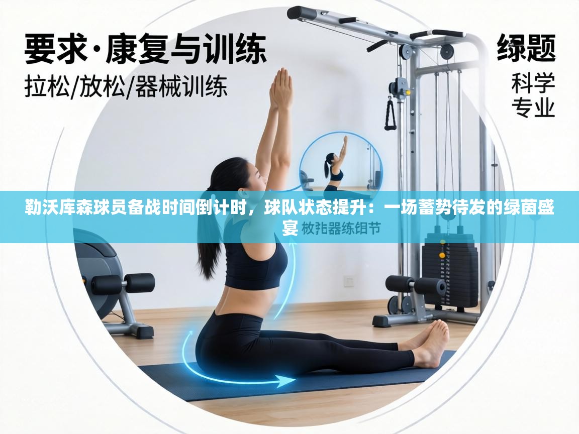 勒沃库森球员备战时间倒计时，球队状态提升：一场蓄势待发的绿茵盛宴  第2张