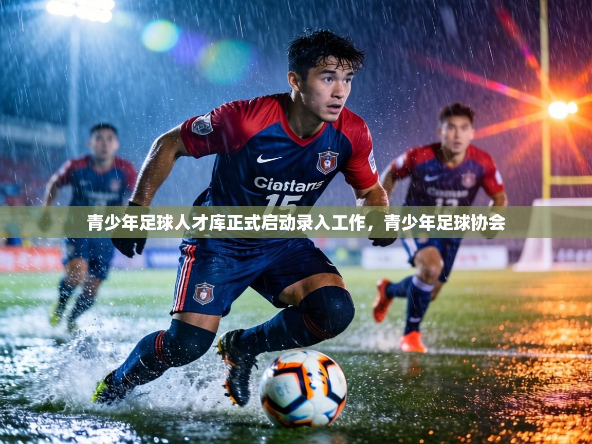 青少年足球人才库正式启动录入工作，青少年足球协会