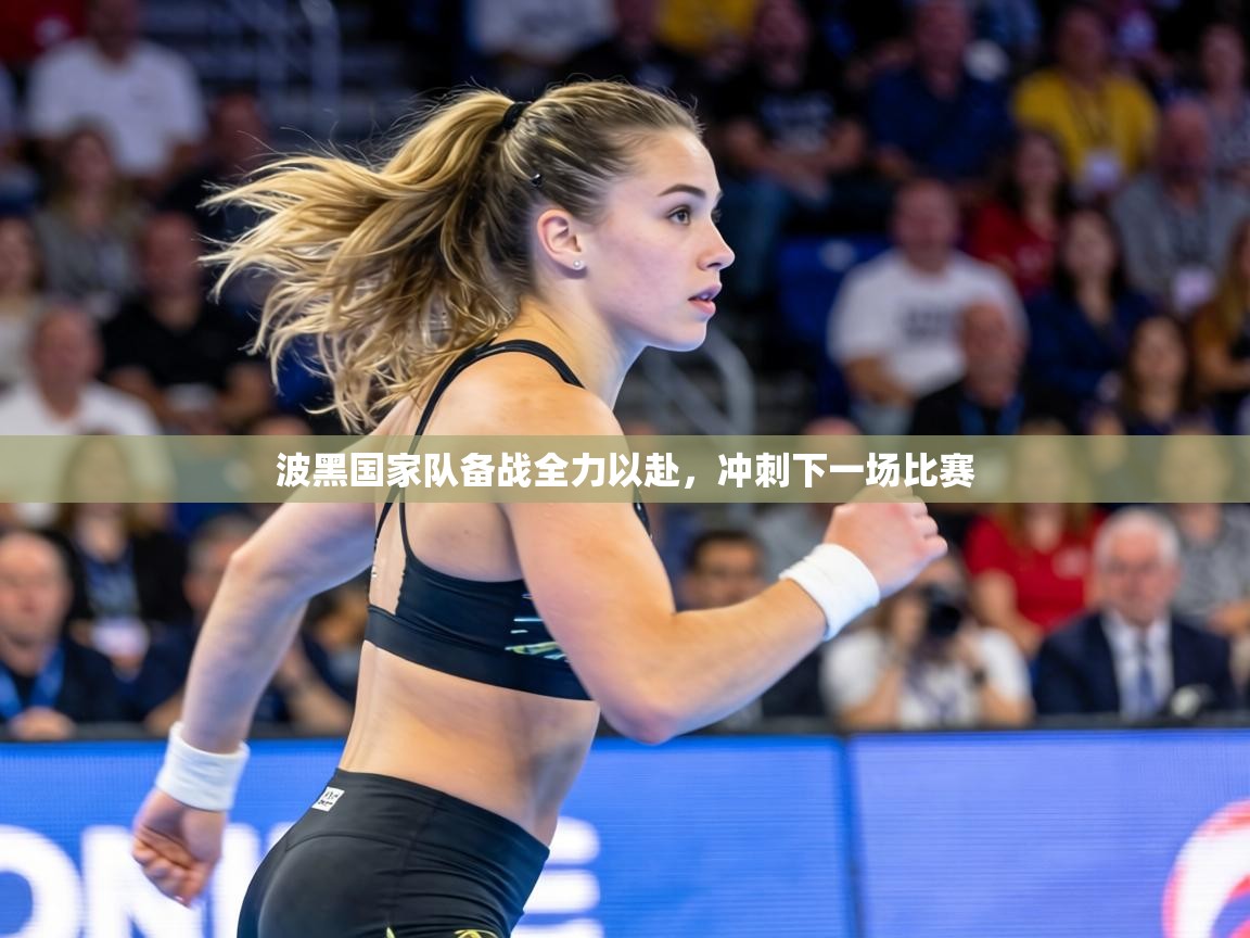 波黑国家队备战全力以赴,冲刺下一场比赛 第1张